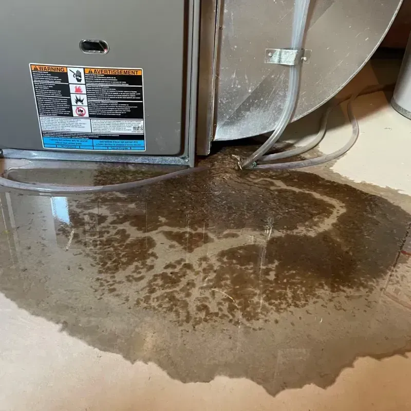 Appliance Leak Cleanup in Patten, ME